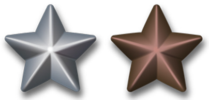 Silver and Bronze Battle Stars